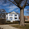 Victorian House on Oakley Avenue